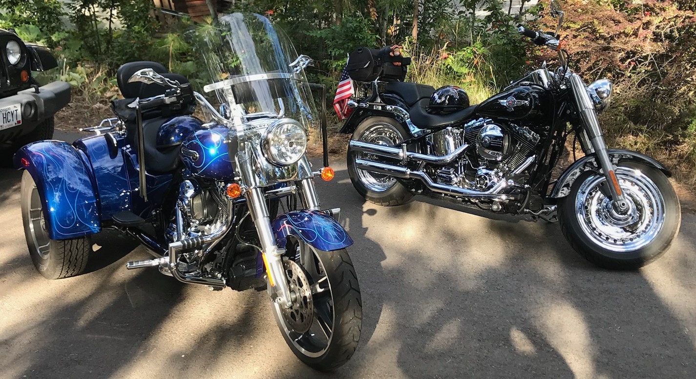 Freewheeler and Fatboy